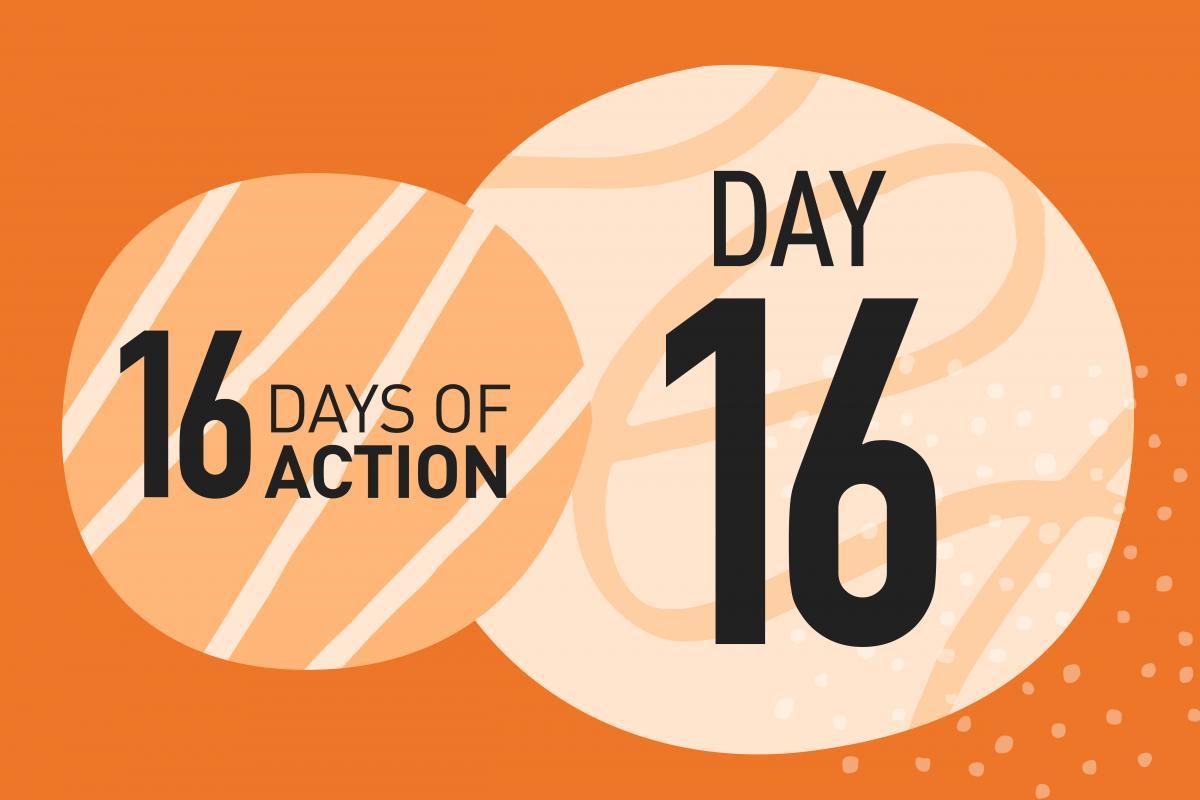 16 Days in Action - Day 16 blog - A councillors vision